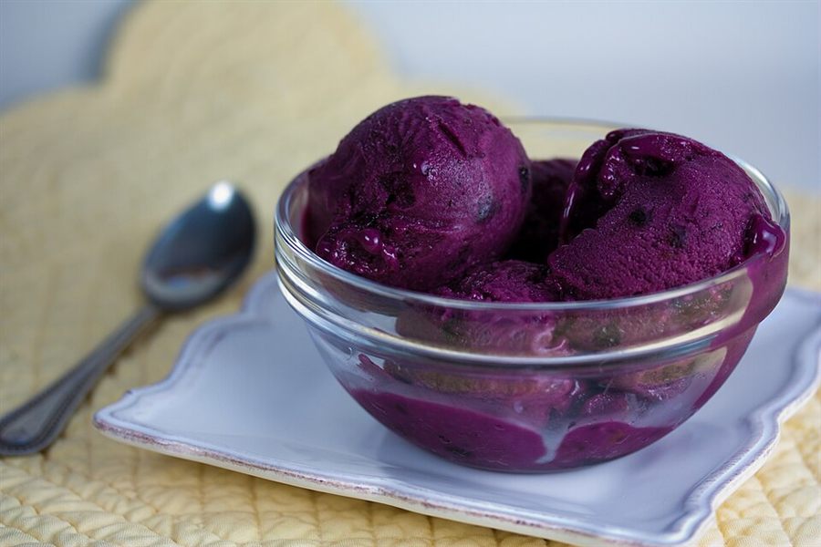 Frozen yogurt myrtille