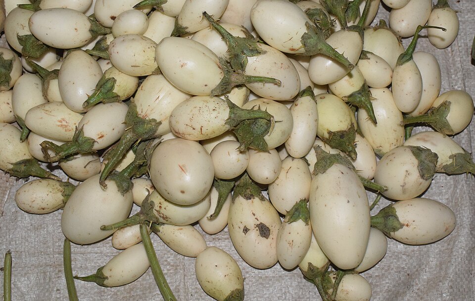 Eggplant with eggs