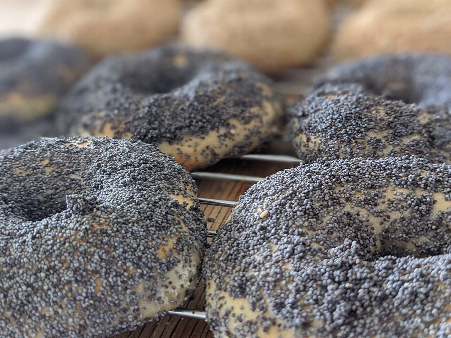Bagels maison